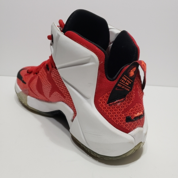 Nike LeBron 12 EP Heart of a Lion Sneakers - Picture 8 of 11